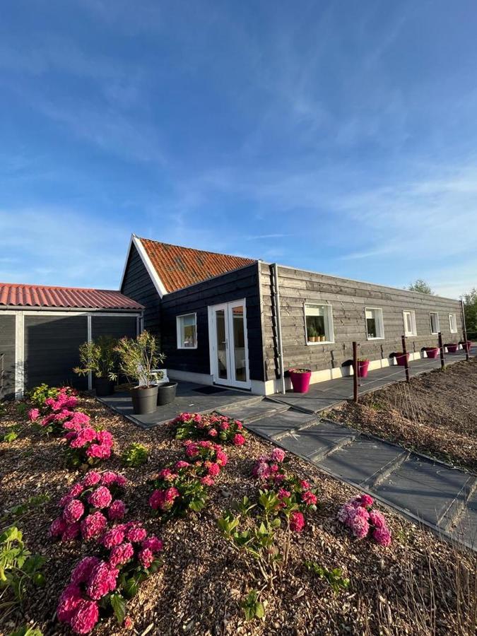 Noordgouwe De Tulp Bed & Breakfast エクステリア 写真