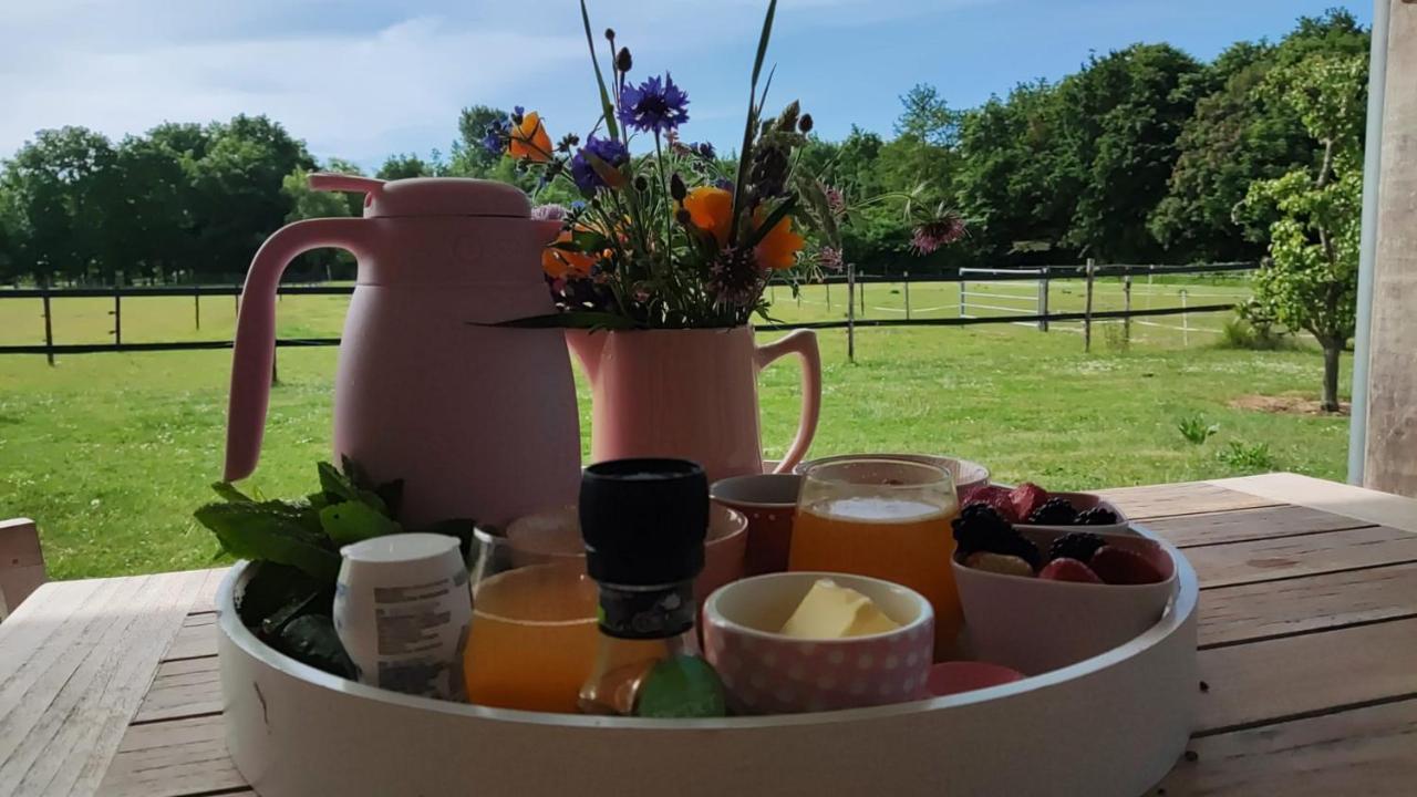 Noordgouwe De Tulp Bed & Breakfast エクステリア 写真