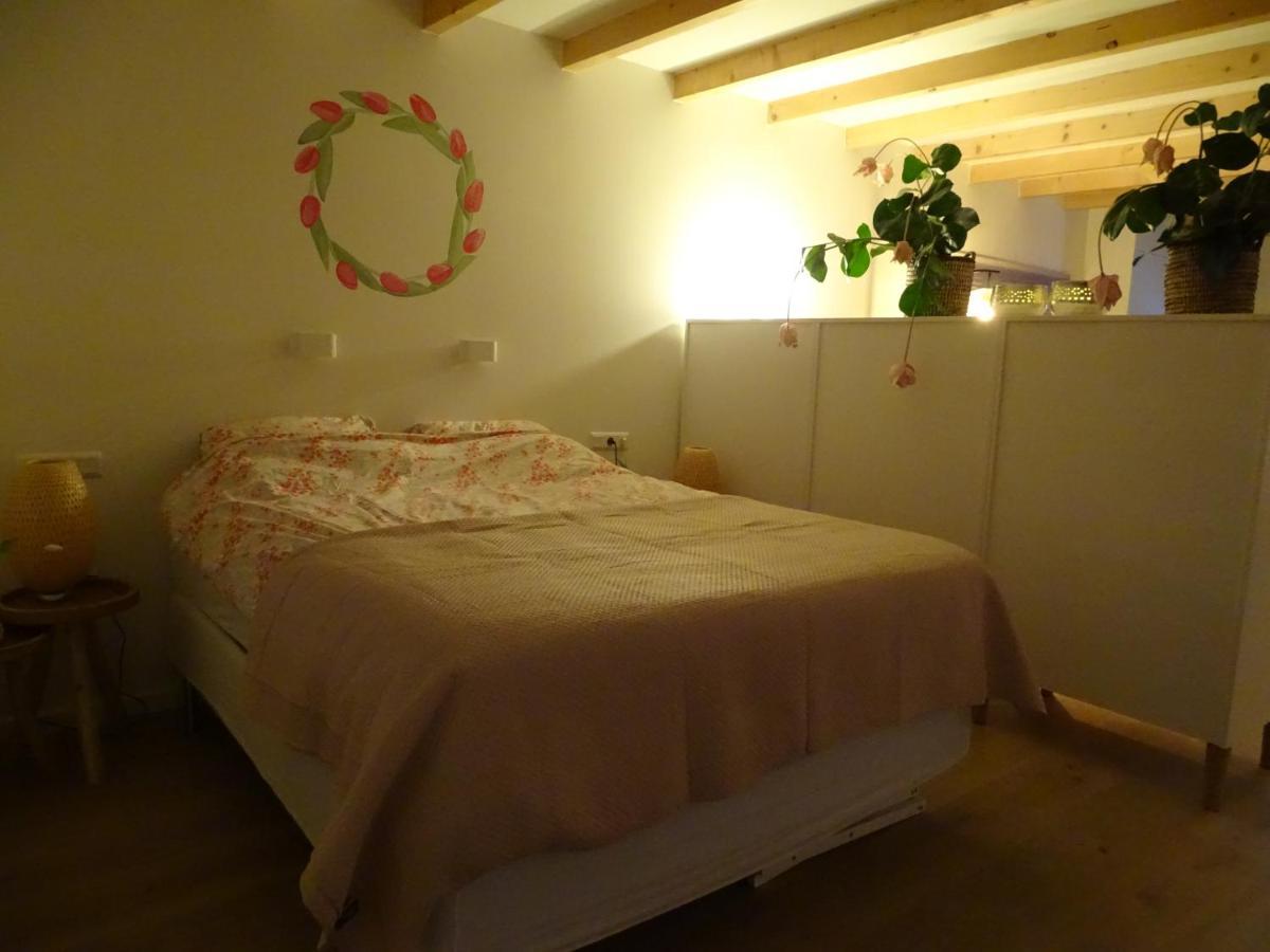 Noordgouwe De Tulp Bed & Breakfast エクステリア 写真