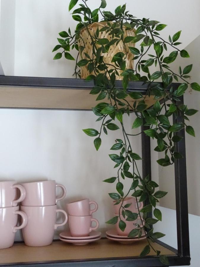 Noordgouwe De Tulp Bed & Breakfast エクステリア 写真