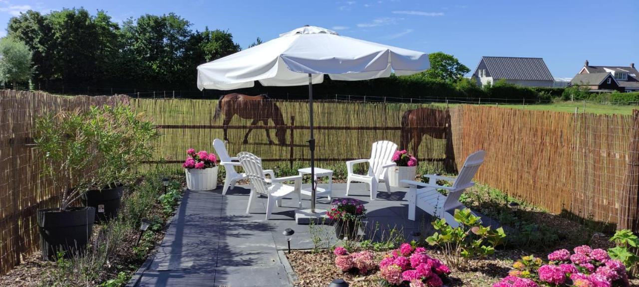 Noordgouwe De Tulp Bed & Breakfast エクステリア 写真