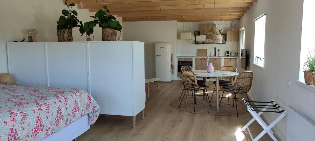 Noordgouwe De Tulp Bed & Breakfast エクステリア 写真
